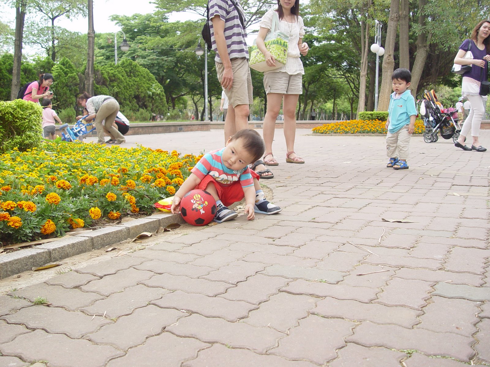 [DSC02210.JPG]