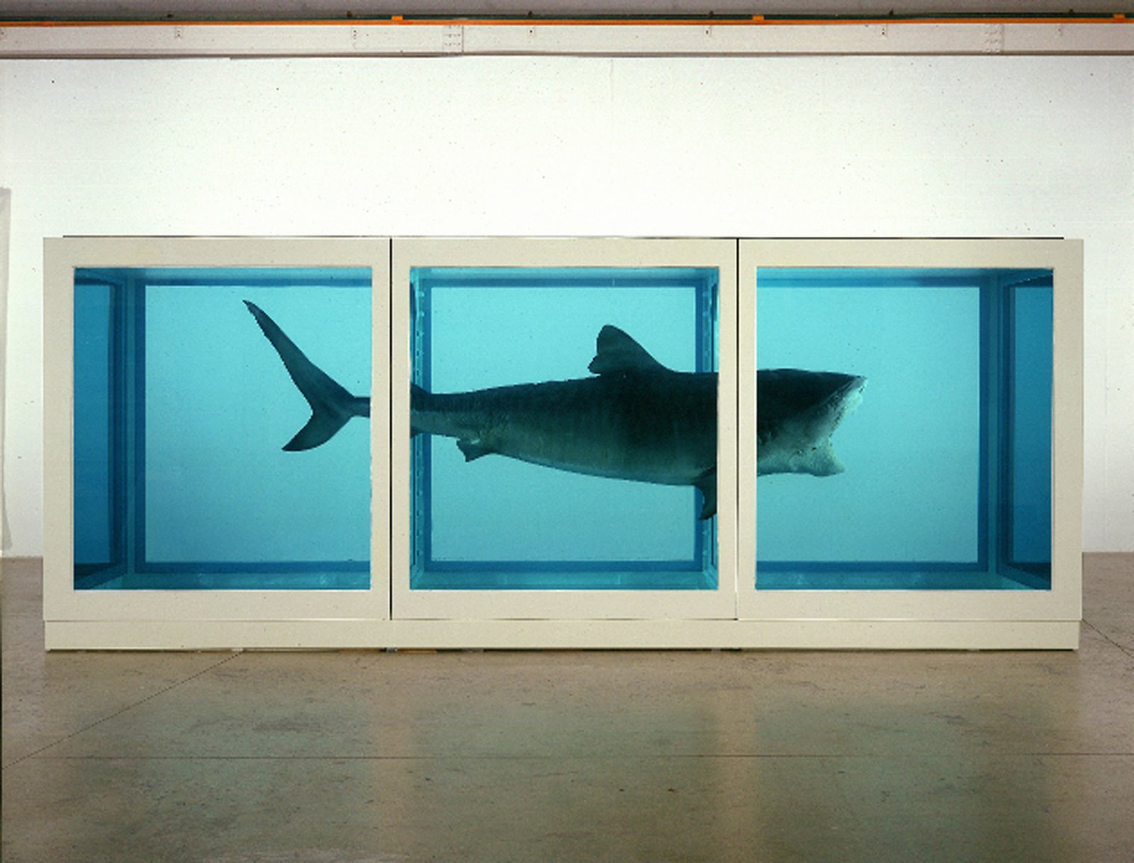 freeze damien hirst