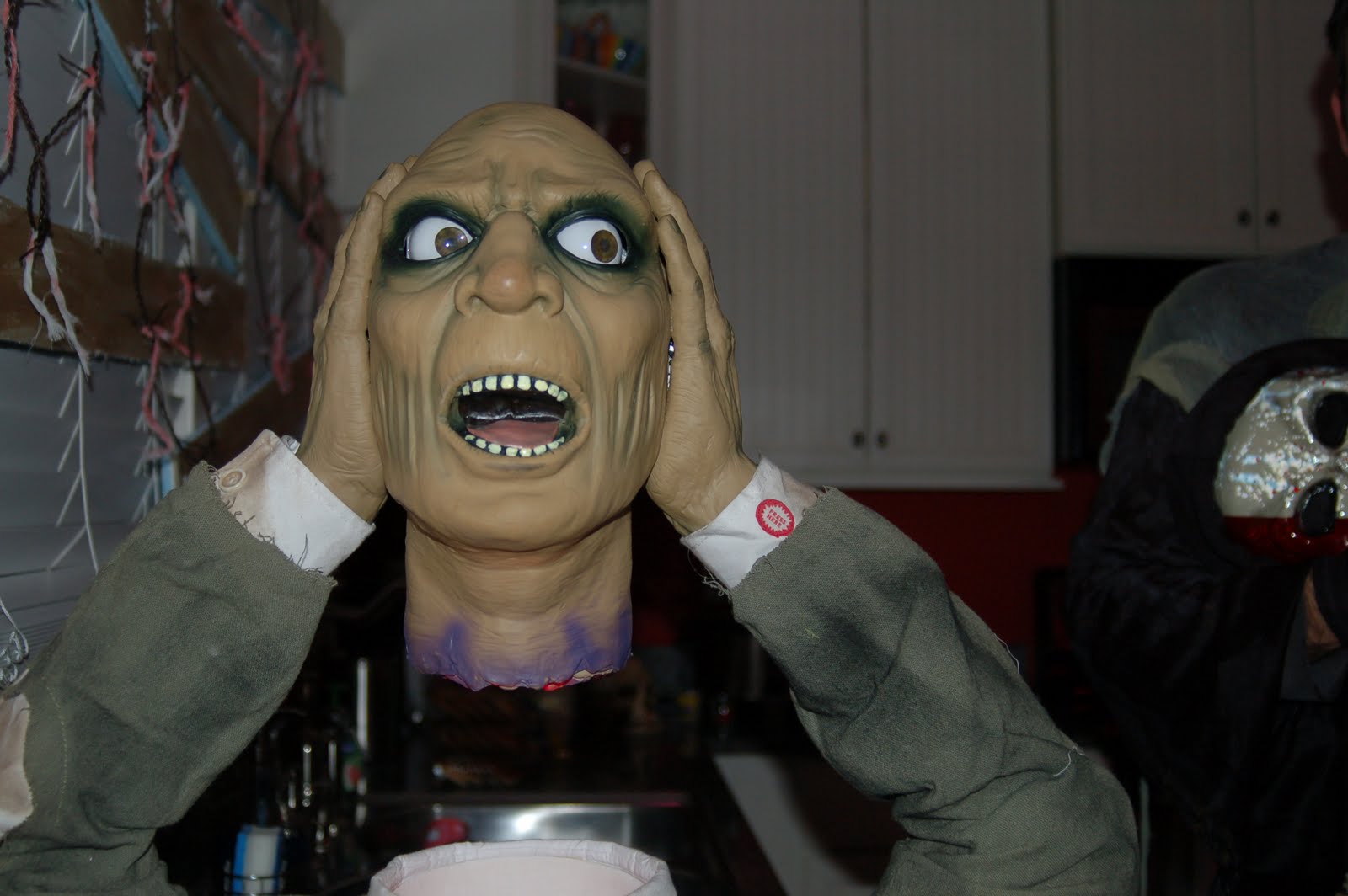 [DSC_0013.JPG]