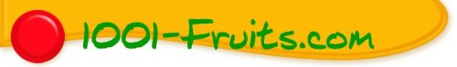 1001-Fruits Blog