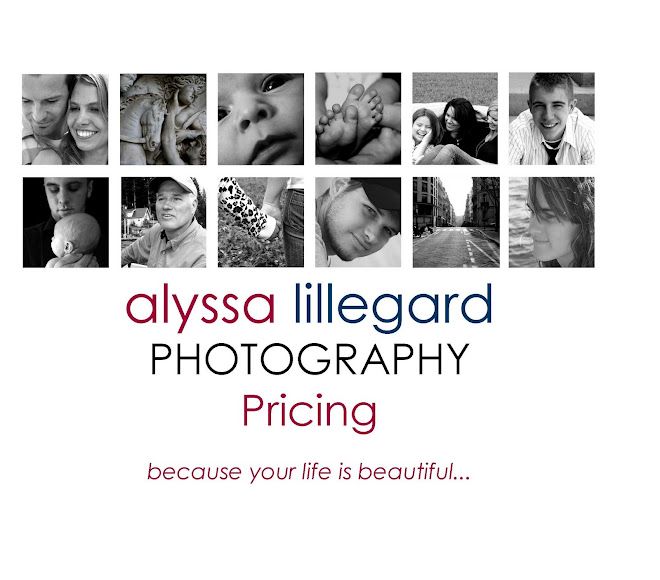 Alyssa Lillegard Photography Pricing