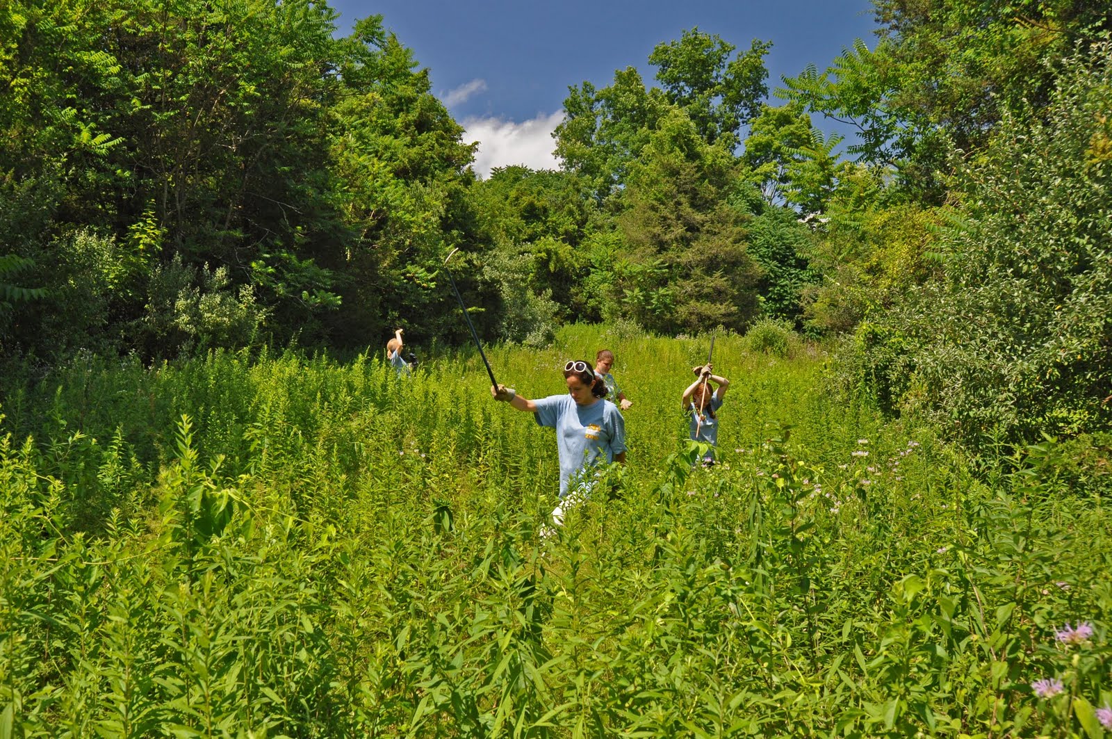 Connecticut Audubon Society Many hands &amp; many eyes make