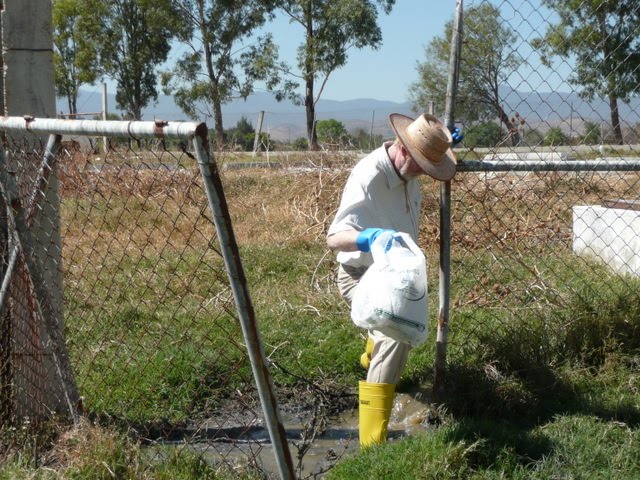 [WaterCollection+016.jpg]