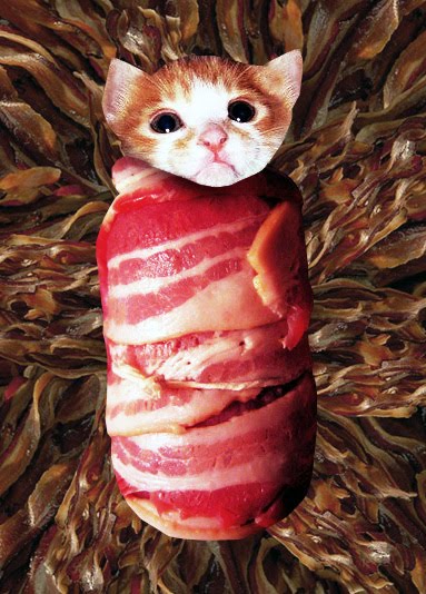 kittens and bacon