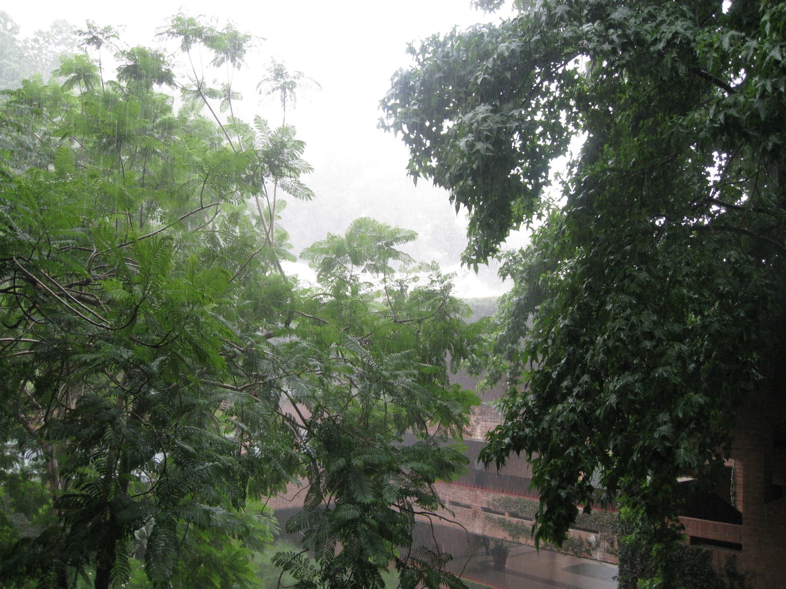 [IMG_0003.JPG]