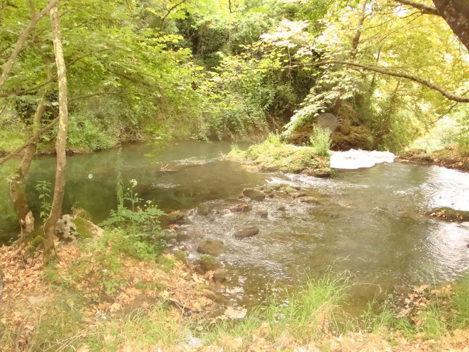 [DSC01016.JPG]