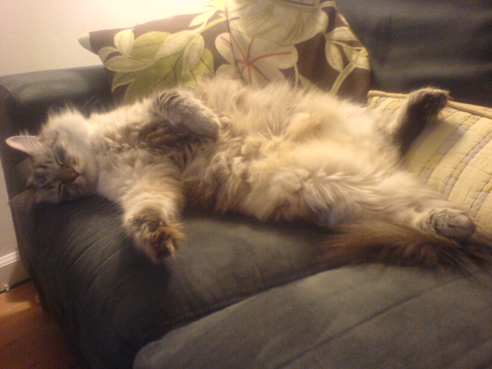 Shamus