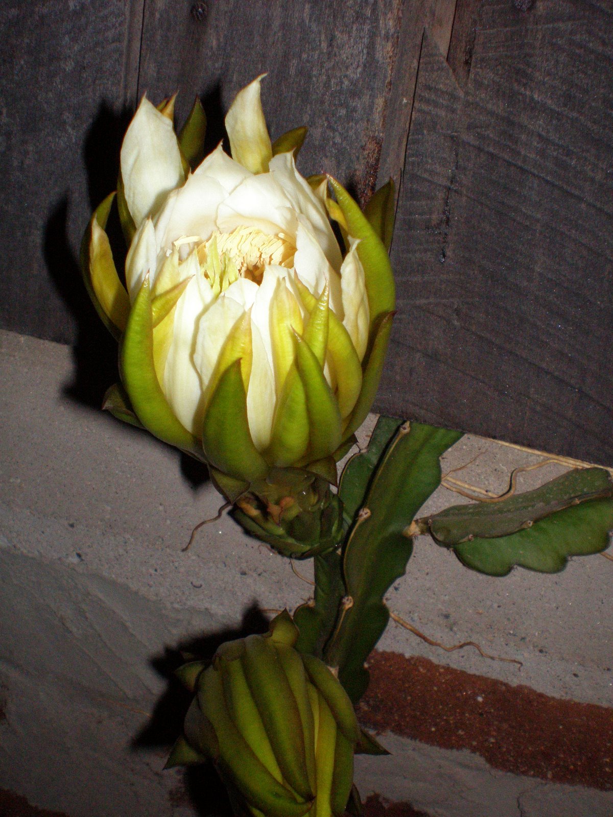 [P3210879.JPG]