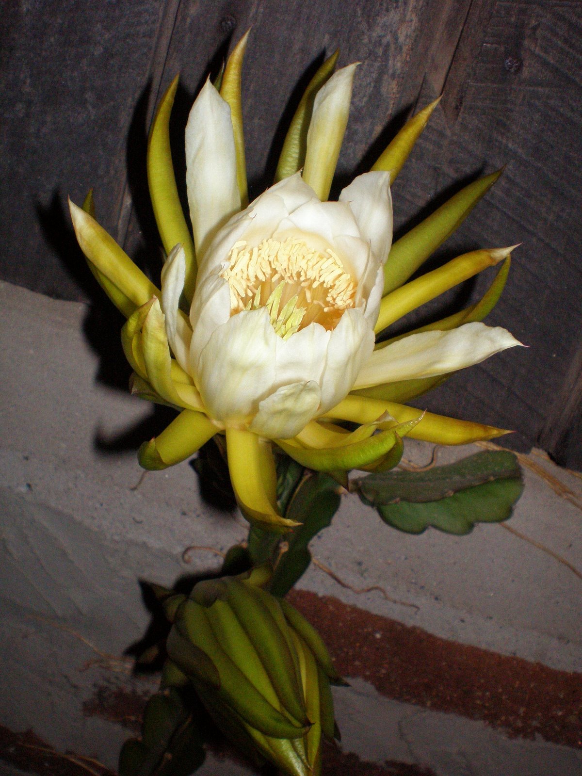 [P3220886.JPG]