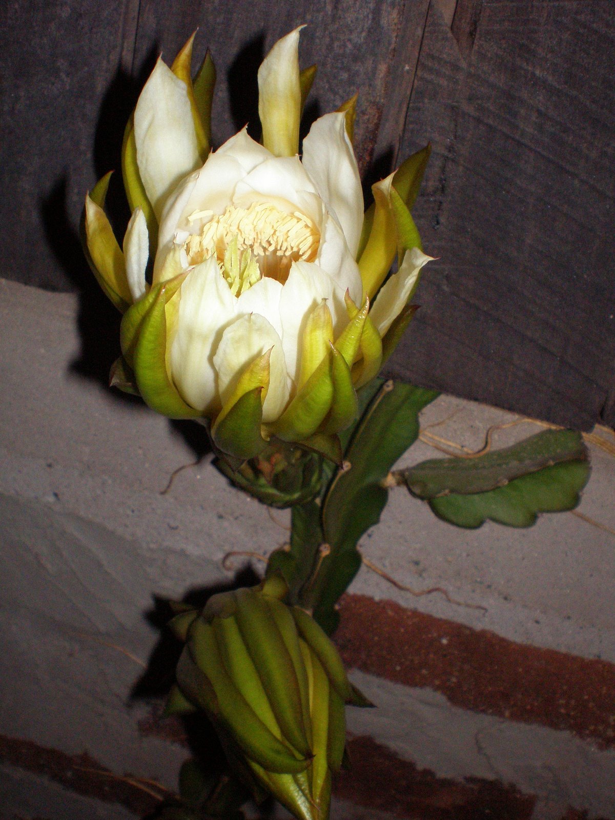 [P3210884.JPG]