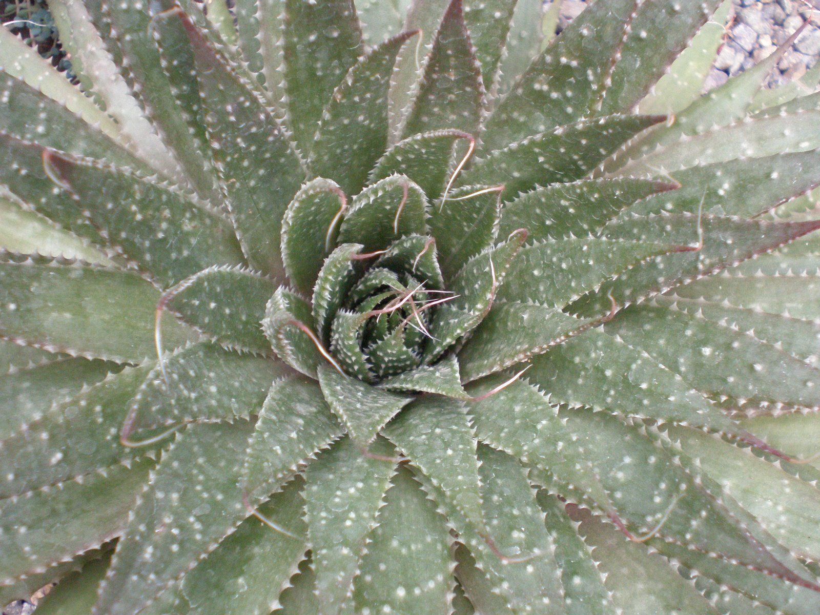 [P8040046.JPG]