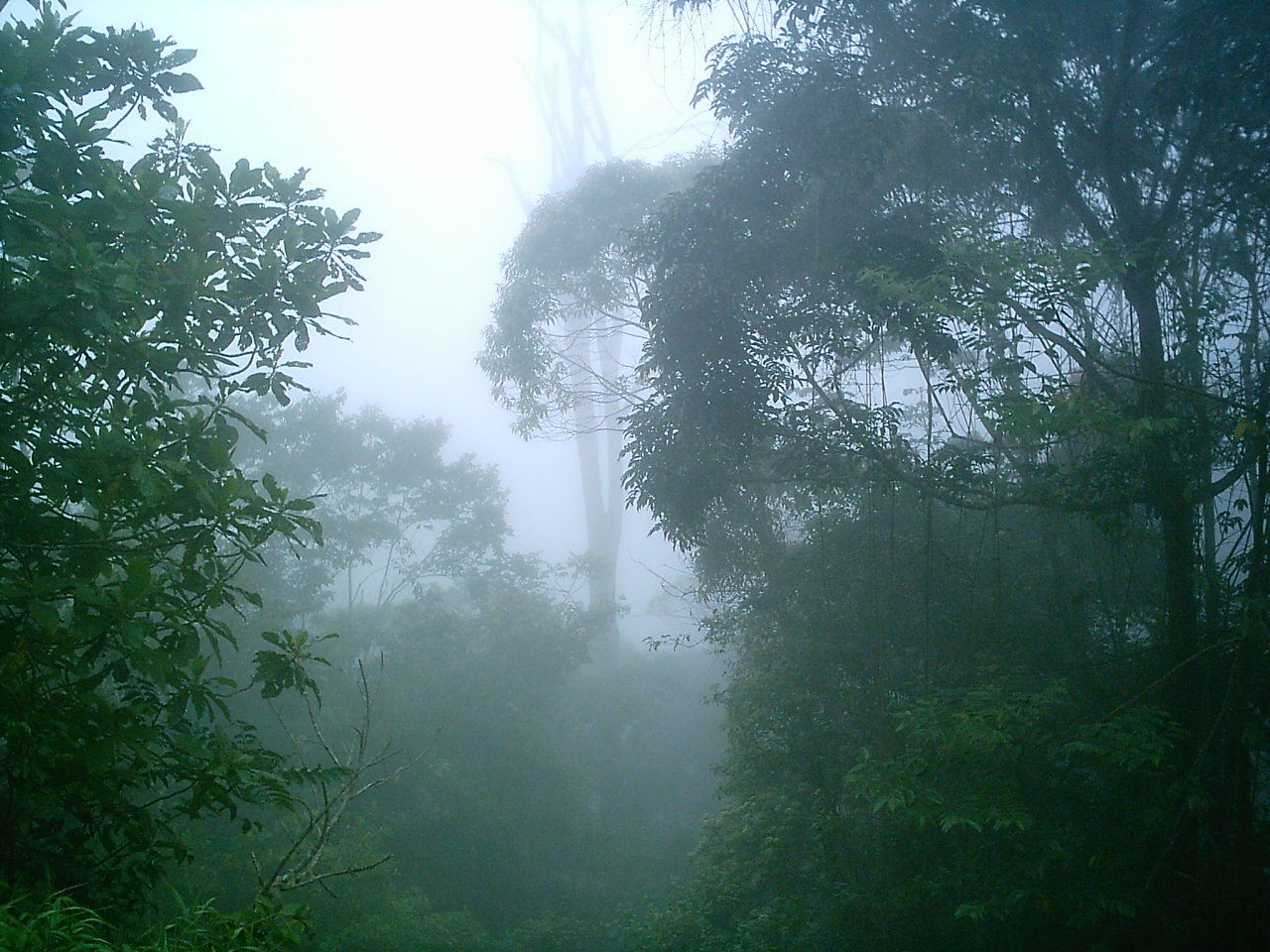 [IMAG0019.JPG]