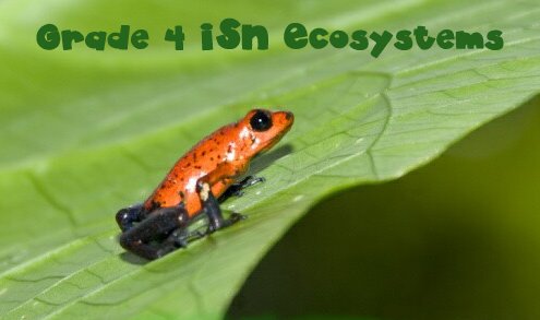 Grade 4 ISN Ecosystems