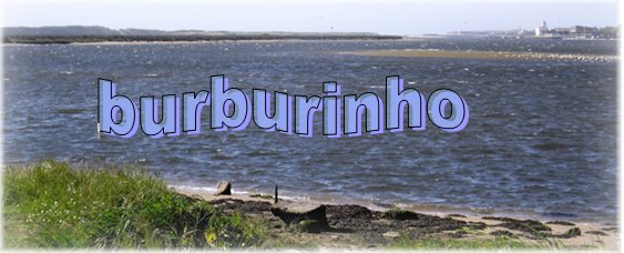 Bar burburinho