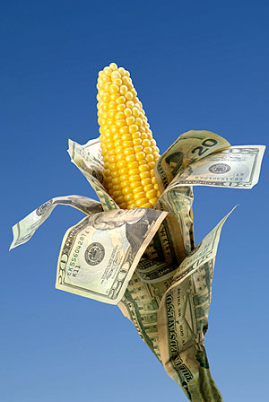 Tax breaks by the acre Tax breaks by the acre
