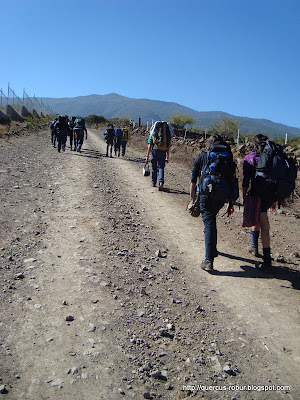 A Cerro Viejo por san Miguel Cuyutlán