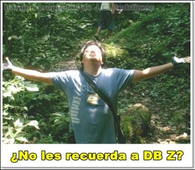 sintiendo la energia del sol sintiendo la energia del sol