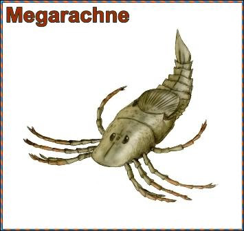 megarachne verdadera megarachne verdadera