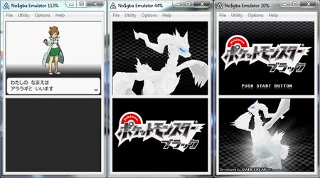 Pokemon Black & White