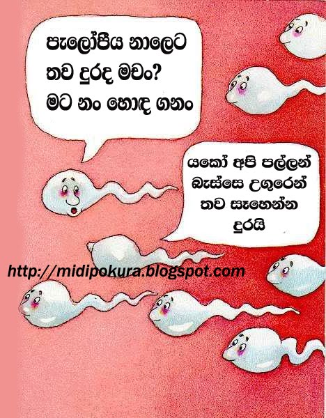jokes video sinhala jokes video sinhala