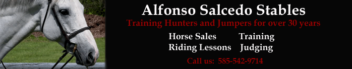 Alfonso Salcedo Stables | Contact