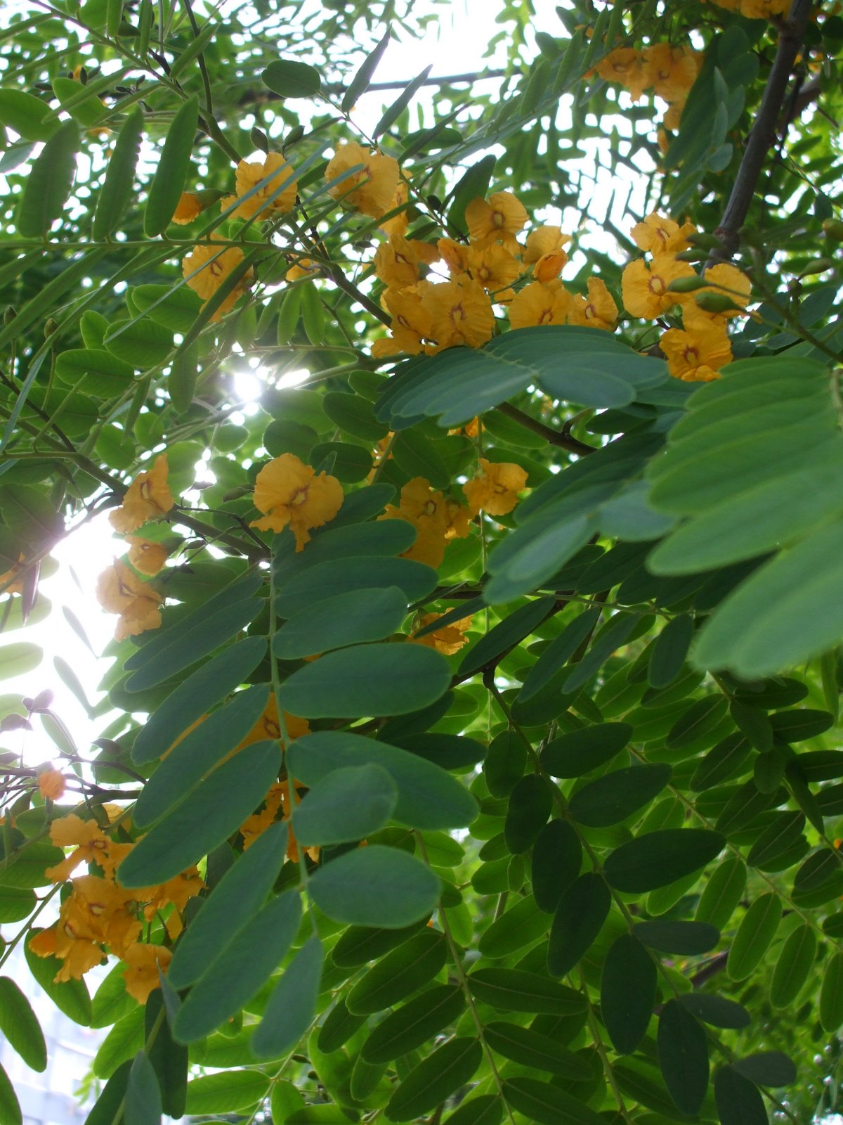 [DSCF4355.JPG]
