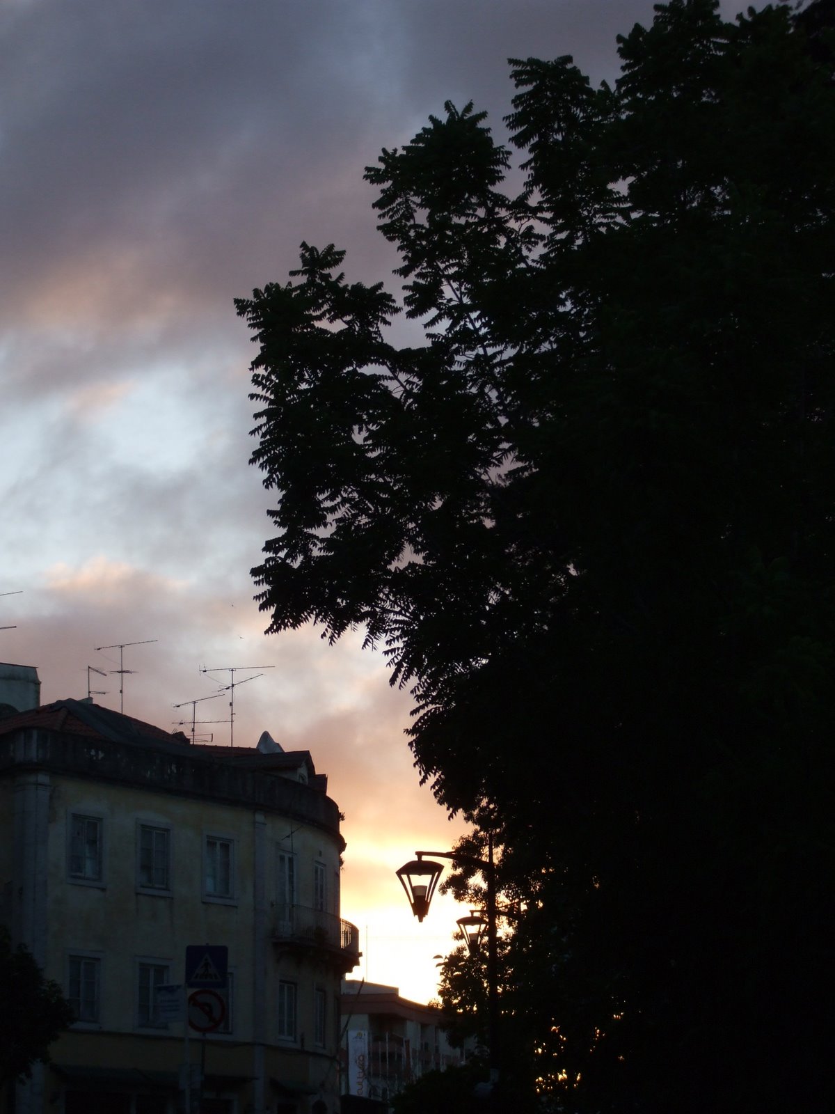 [DSCF4973.JPG]