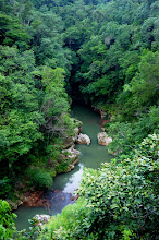 View from the wood deck " EL INDIO" ; TANAMA RIVER