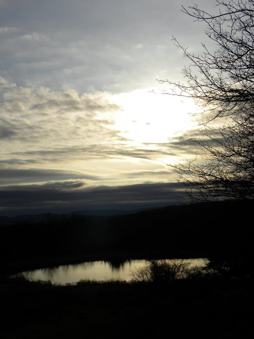 Bovina Winter Scene