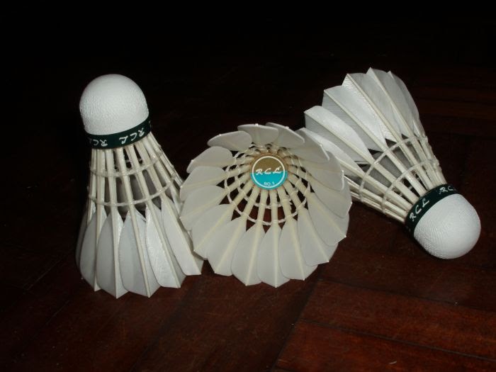 Borneotip RCL No. 1 Shuttlecock Review