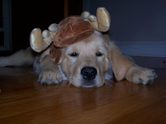 Lucy Moose