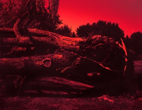 [thumbnail-1.php.png.jpeg]