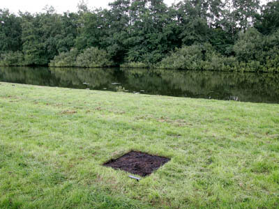 [dead_pixel1g.jpg.jpeg]