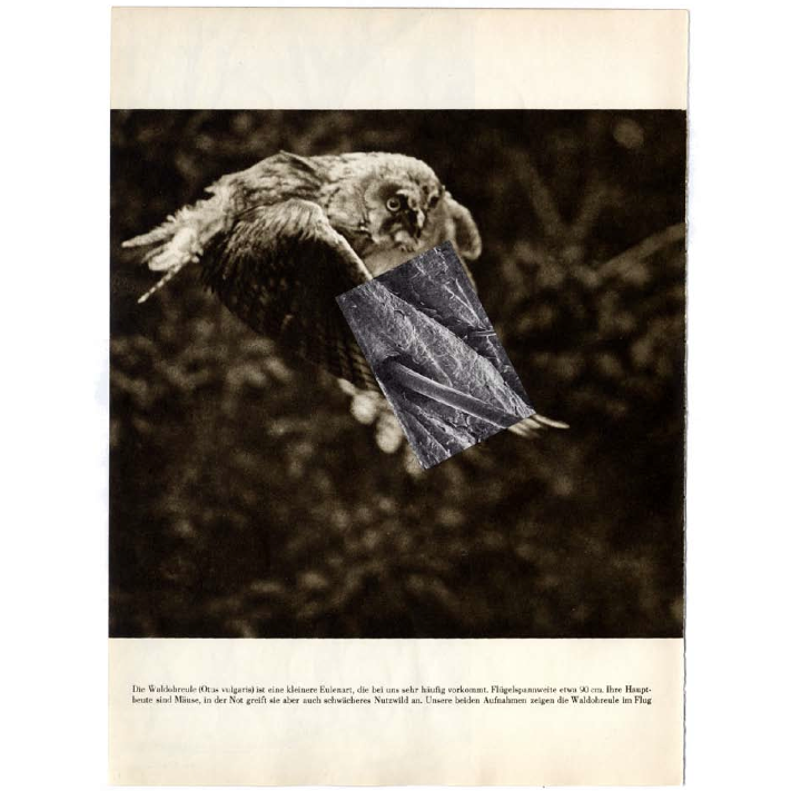 [Screen+shot+2009-12-18+at+12.07.23+AM.png]