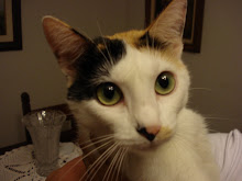 Minha foto