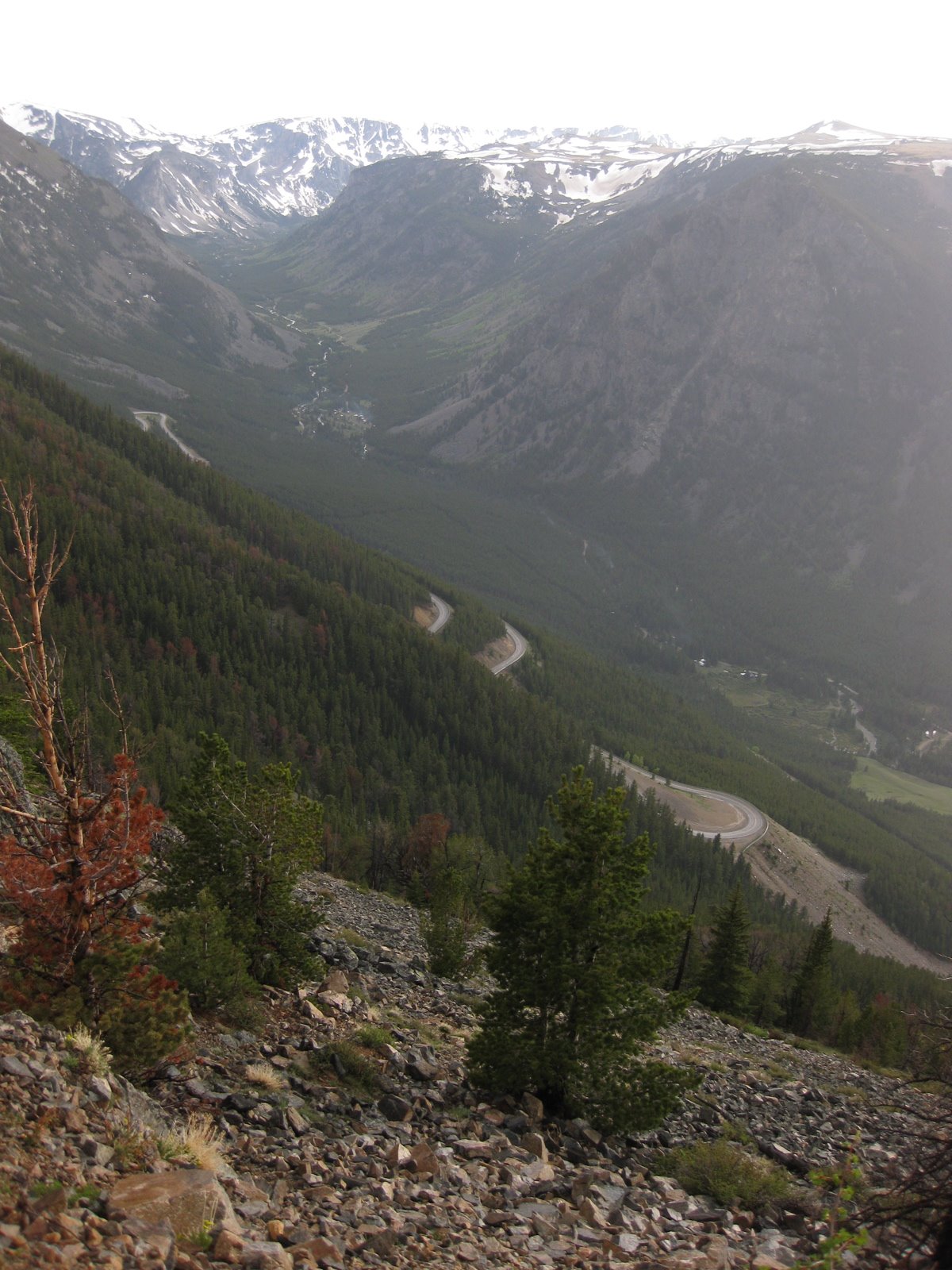 [BeartoothPass.JPG]