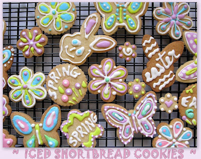 Iced Cookie Designs