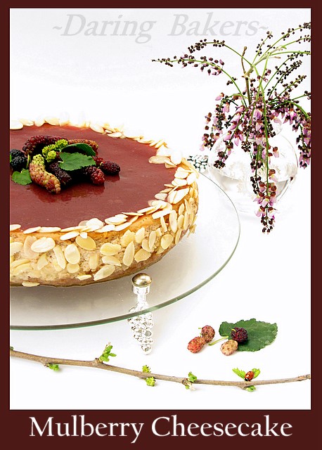 [2009-04-03+DB+cheesecake3.jpg]