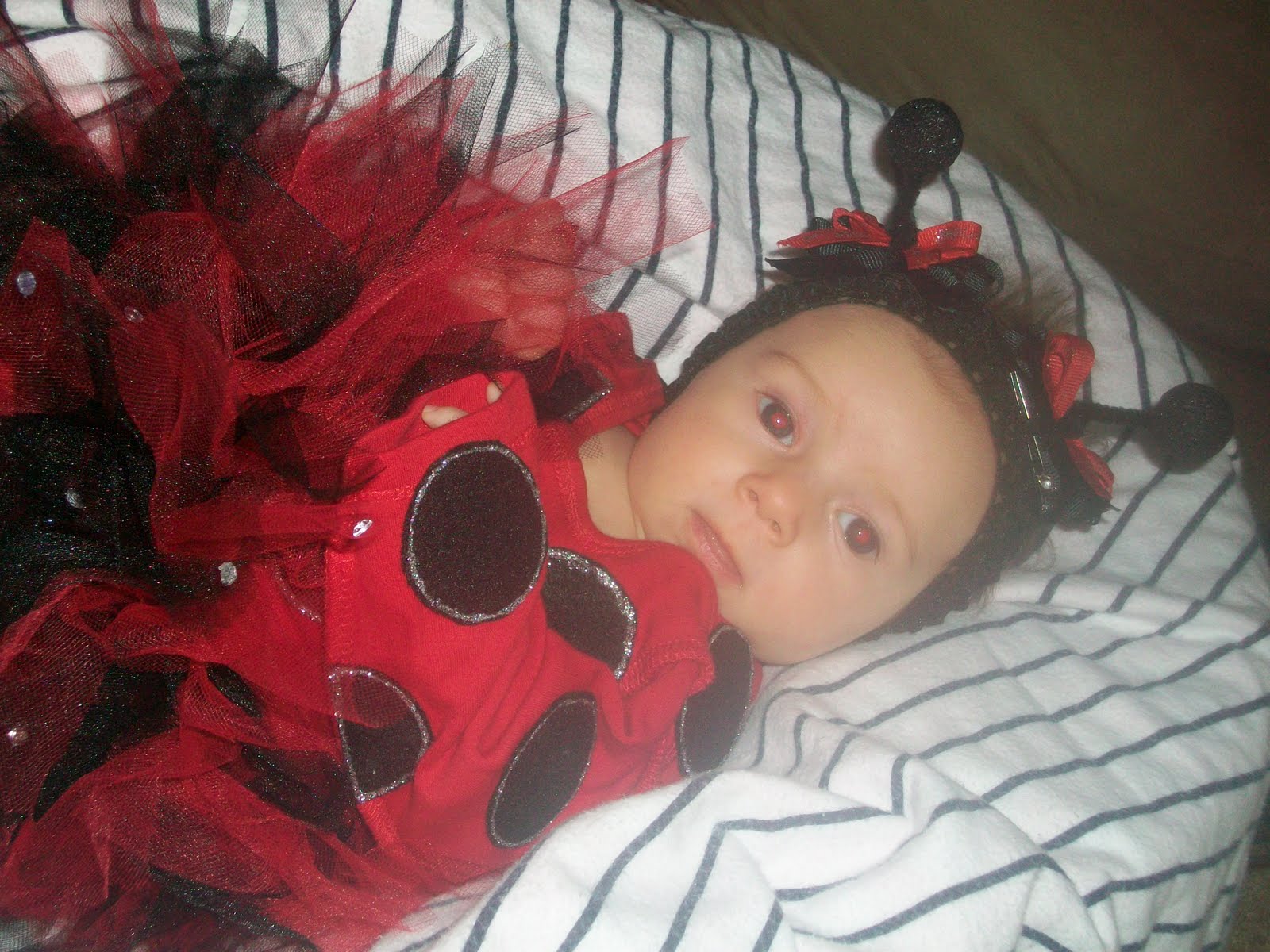 [Halloween+042.jpg]