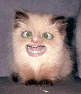 Ugly Cat Girl