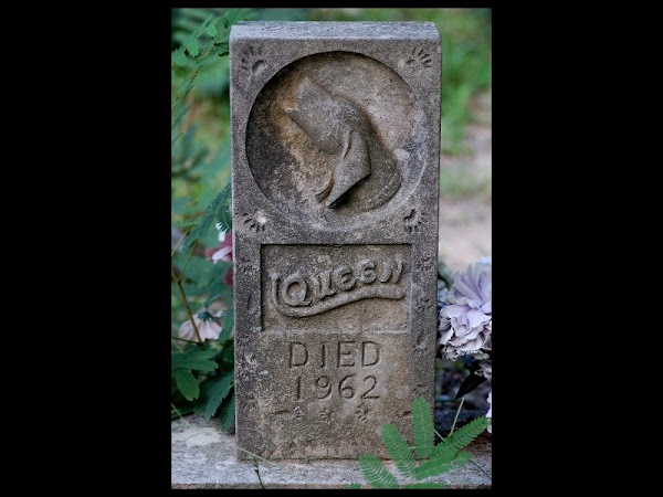 Head stone at the Coon Dog Cemetery