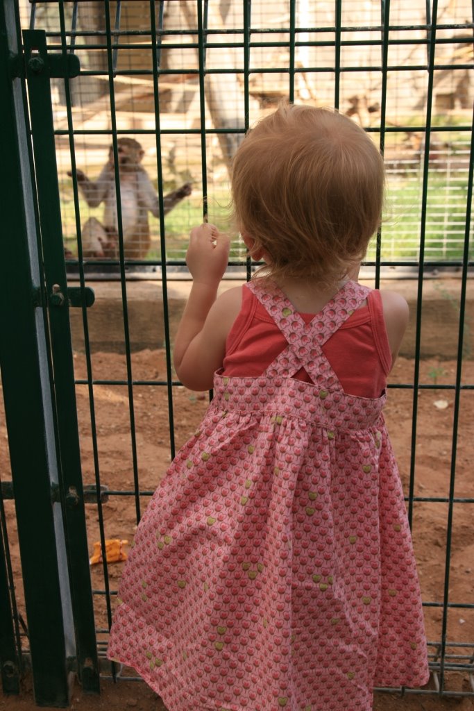 [eleanor+watching+monkeys.JPG]
