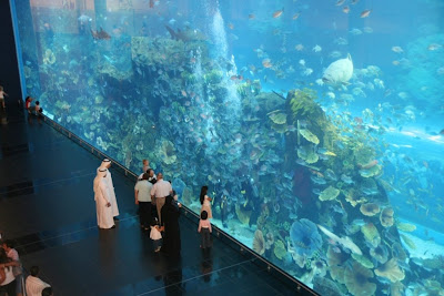 Dubai+mall+aquarium+pictures