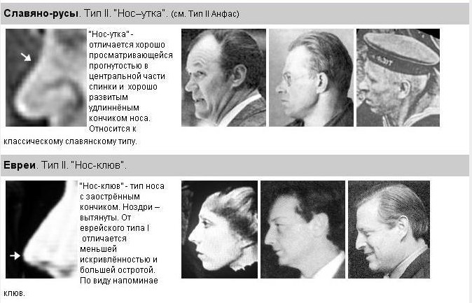 [нос+5.jpg]
