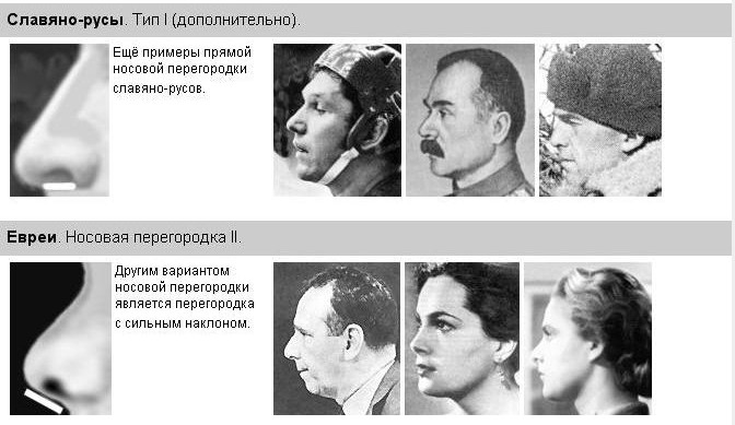 [нос+10.jpg]