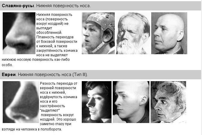 [нос+8.jpg]