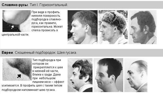[подбородок+2.jpg]