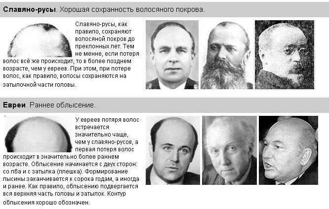 [волосы+1.jpg]