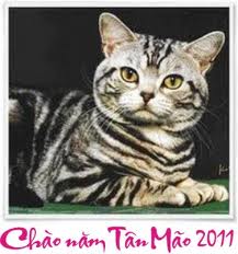 L'événement du jour - Page 3 Cau-doi-tan-mao-2011