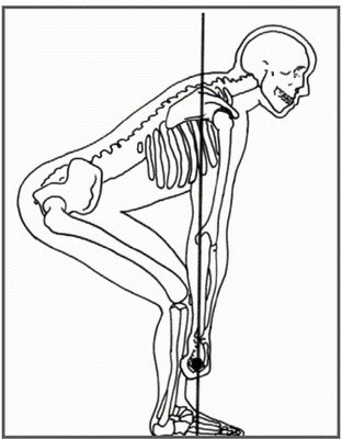 [Picture1+deadlift+skeleton+view.gif.png]